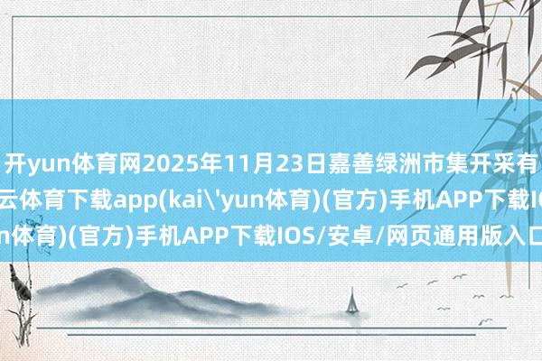 开yun体育网2025年11月23日嘉善绿洲市集开采有限公司价钱行情-kai云体育下载app(kai'yun体育)(官方)手机APP下载IOS/安卓/网页通用版入口