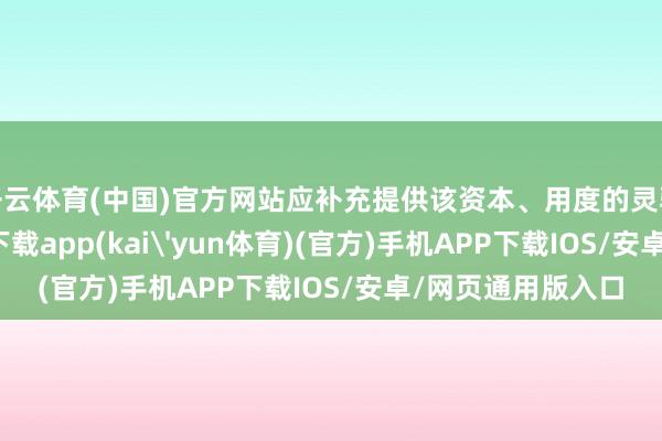 开云体育(中国)官方网站应补充提供该资本、用度的灵验把柄-kai云体育下载app(kai'yun体育)(官方)手机APP下载IOS/安卓/网页通用版入口