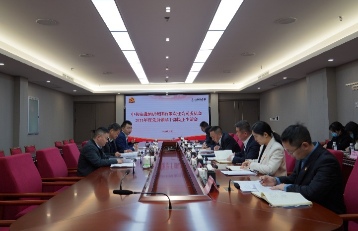 尊龙凯时集团党委书记、董事长任丁出席安逸酒店集团2022年度党员领导干部民主生活会